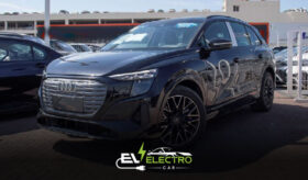 AUDI Q4 E-Tron 2024 Gray